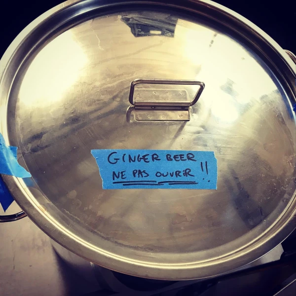 25 litres de ginger beer ont tranquillement fermenté chez cocovelten cette semaine...ils seront frais et prêts pétiller dès cet après-midi au bar...#gingerbeer #fermentation #bio #cocovelten